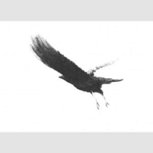 Alan Stones 'Flying' reproduction