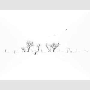 Alan Stones 'Off the Fence' reproduction