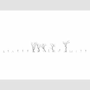 On-the-Fence-by-Alan-Stones