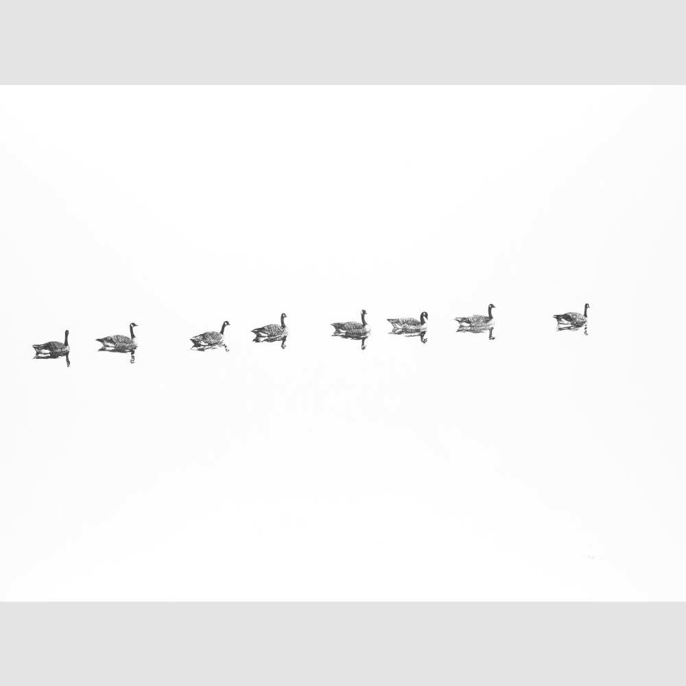 Alan Stones ‘Plain Sailing’ reproduction