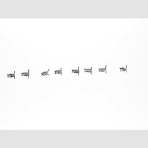 Plain-Sailing-by-Alan-Stones