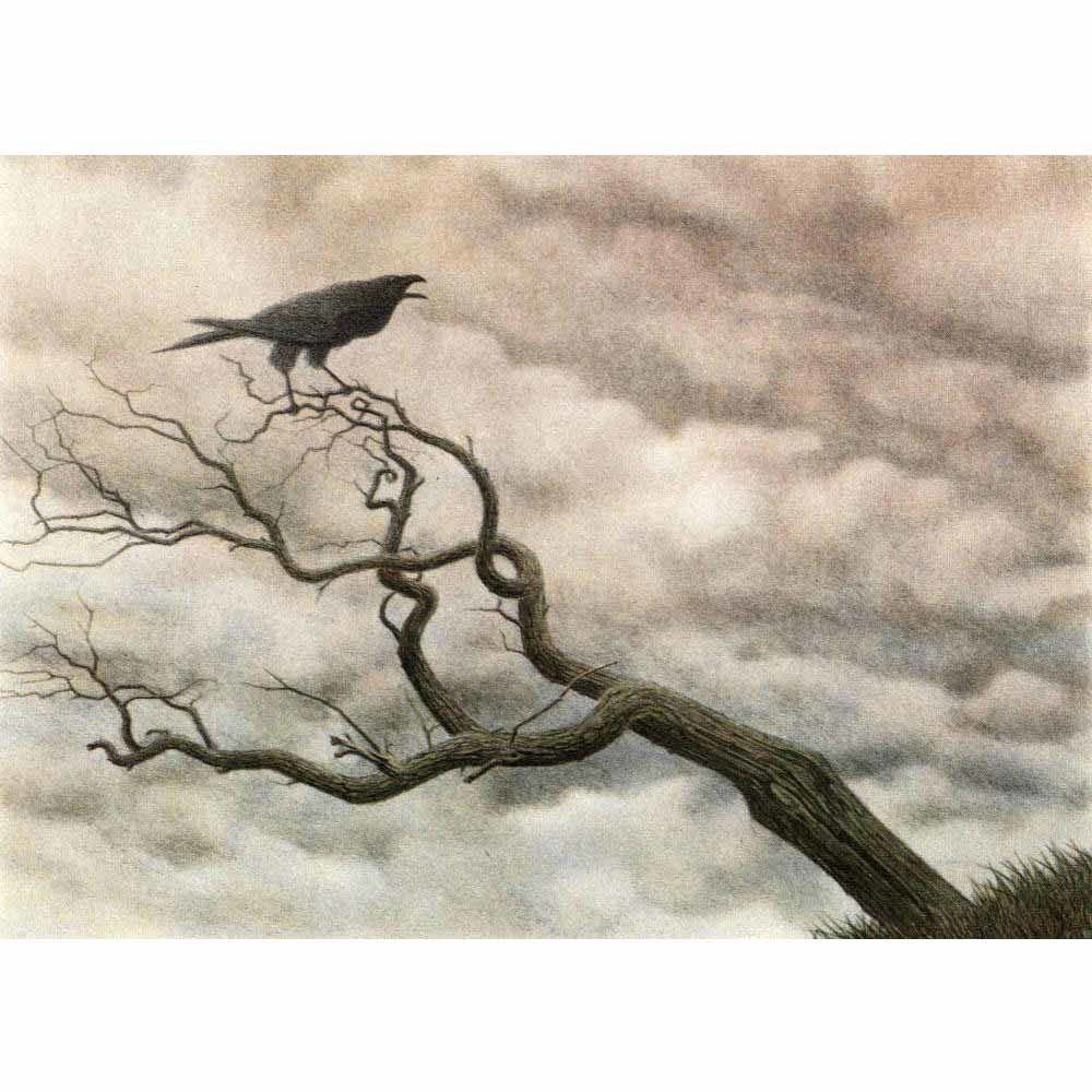 Alan Stones ‘Raven’ reproduction