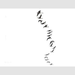 Skein-(ii)-by-Alan-Stones