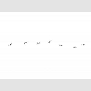 Skein-(iii)-by-Alan-Stones