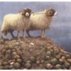 A painting of two sheep