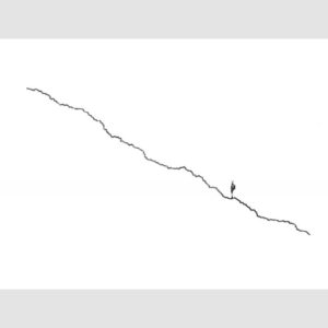 Alan Stones 'Climb (iv)' reproduction