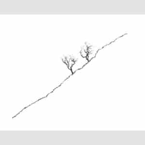 Alan Stones 'Couple (i)' reproduction