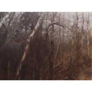 Alan Stones 'Forest (ii)' reproduction