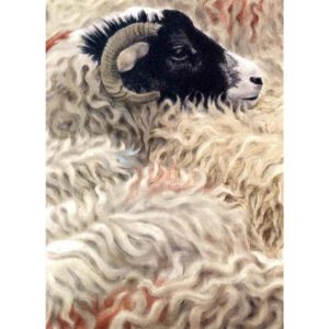 Alan Stones 'Swaledale' reproduction