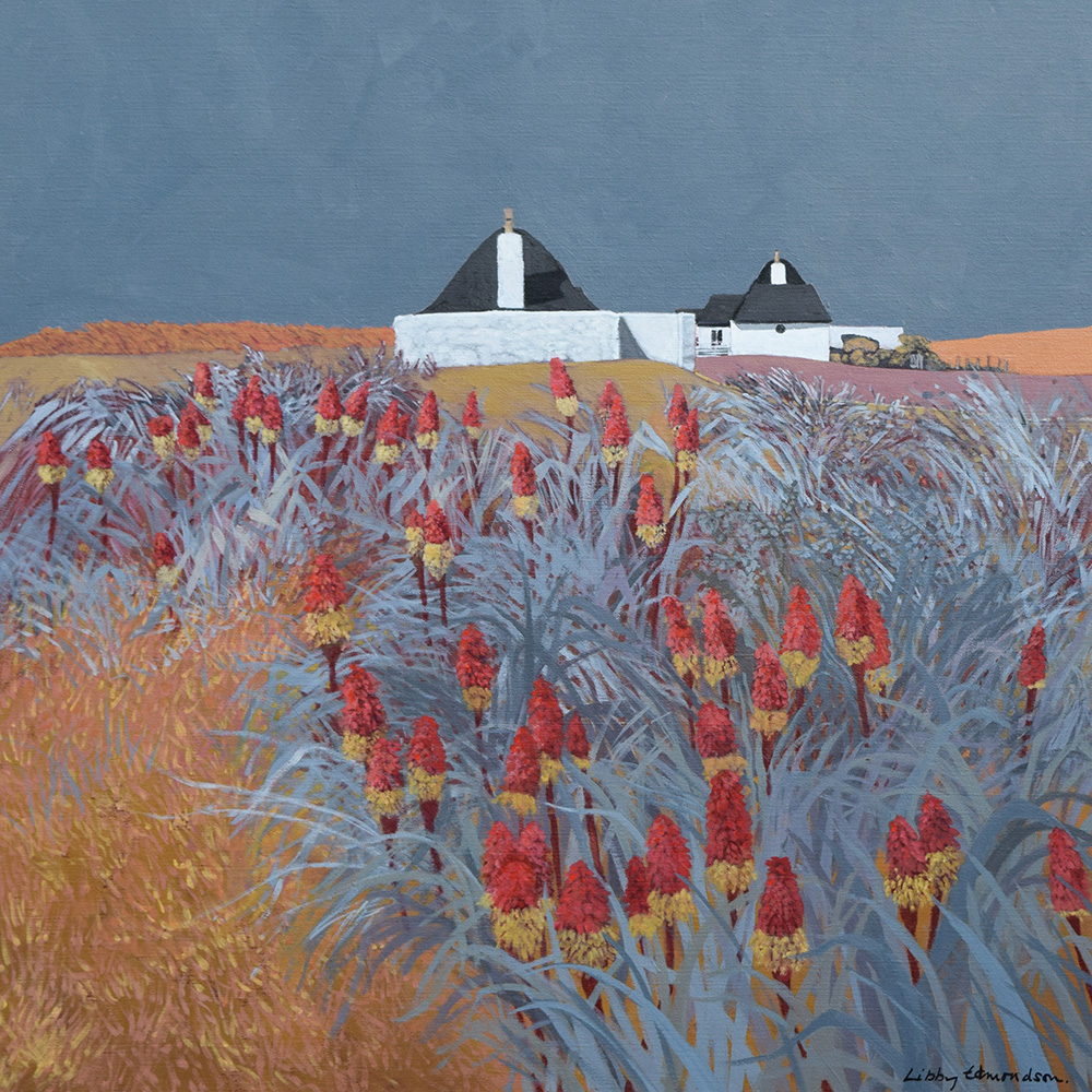 Libby Edmondson ‘Red Hot Pokers, Tiree’ Limited Edition Print
