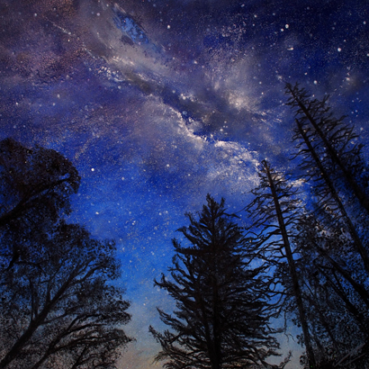 ‘The Order of the Night’ – Milky Way over trees on Tarn Hows, Signed Limited Edition Print by Daniel Cooper