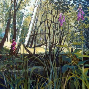 Libby Edmondson Greeting Cards 'Foxgloves in Tarn Hows Woods'. Pack of 6