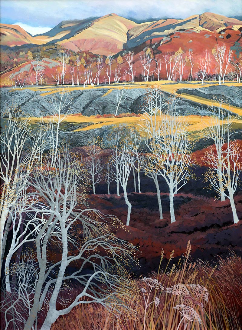 Libby Edmondson ‘Hodge Close ii.’ Limited Edition Print