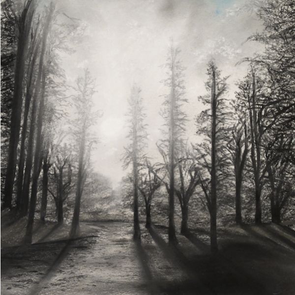 WinterLand – Trees on Rydal, Signed Limited Edition Print by Daniel Cooper