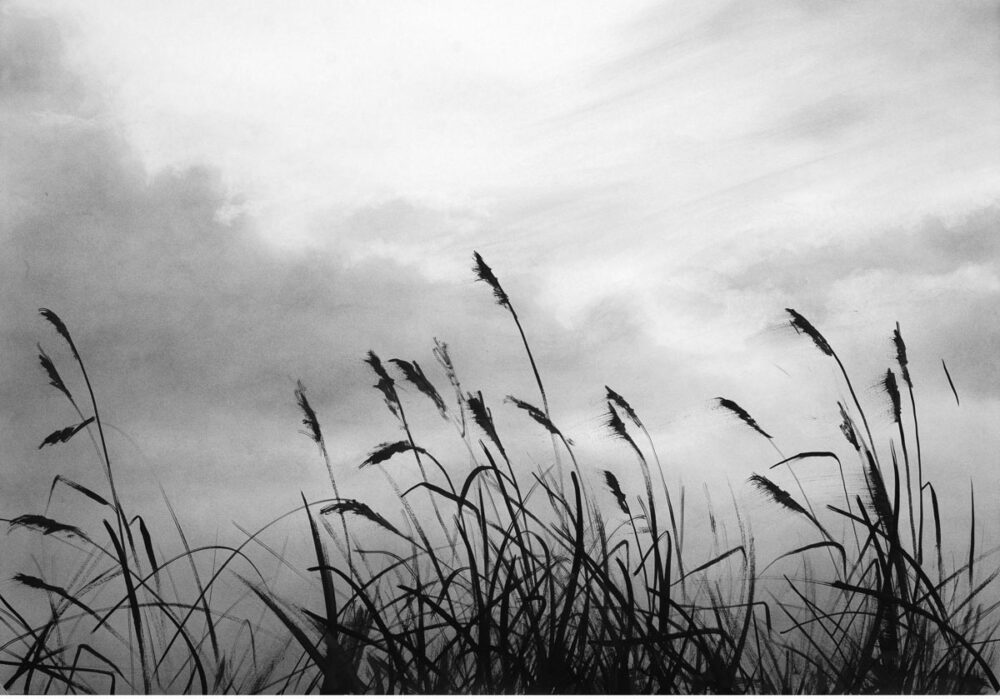 Riverside – Open Edition Print by Sophie Coe