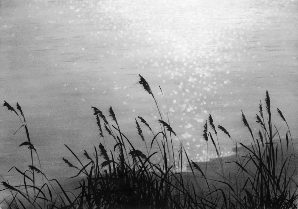 Water’s Edge- Open Edition Print by Sophie Coe